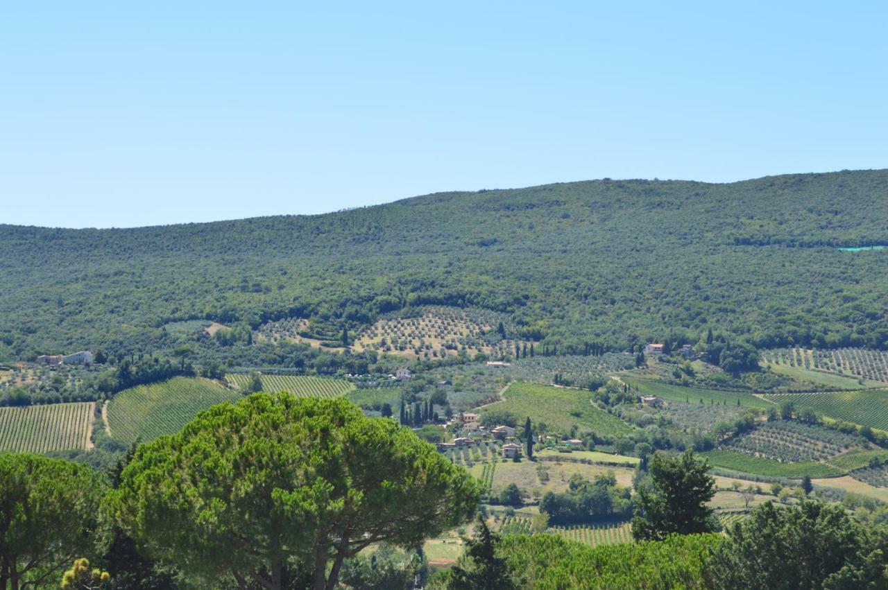 Damario Panorama Hotel Panzano in Chianti Eksteriør billede